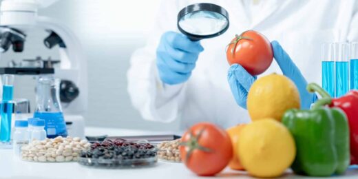 Nutrition : Vieillissement et pathologie