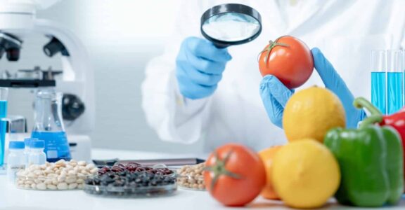 Nutrition : Vieillissement et pathologie